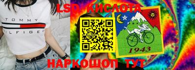 шишки Конаково