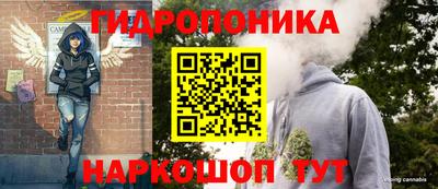 шишки Конаково
