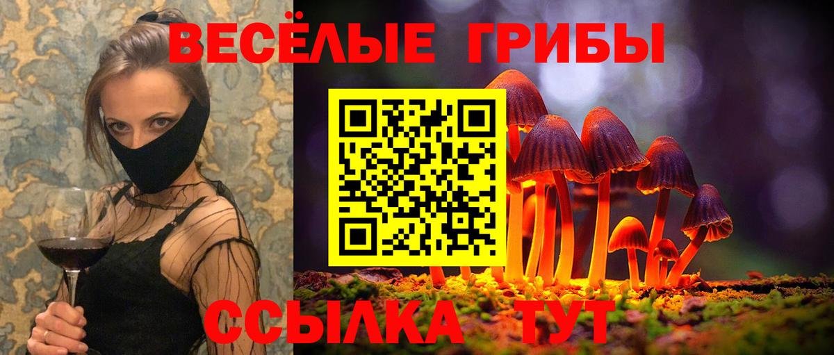 Псилоцибиновые грибы мицелий  Вход с VPN  Красноярск  Псилоцибиновые грибы Psilocybe 